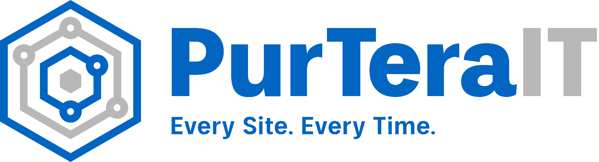 PurTeraIT