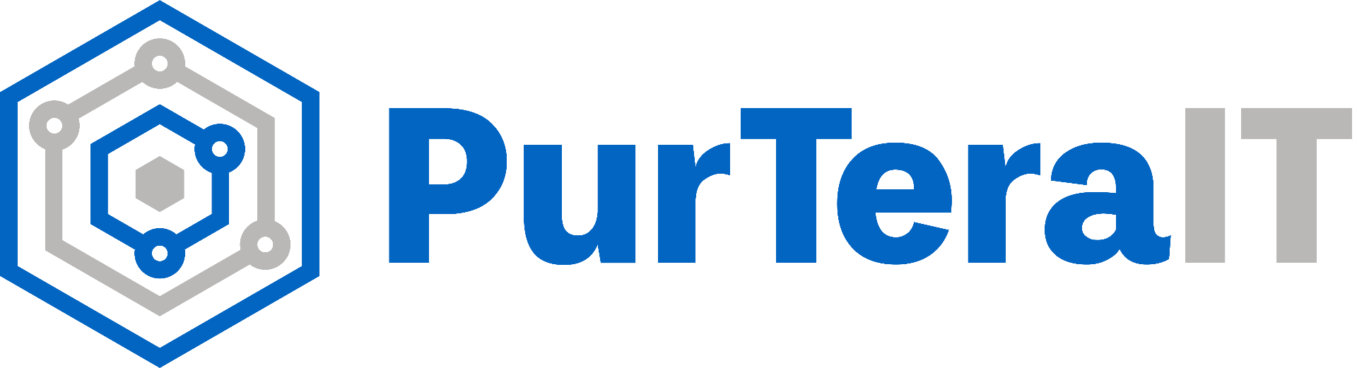 PurTera IT